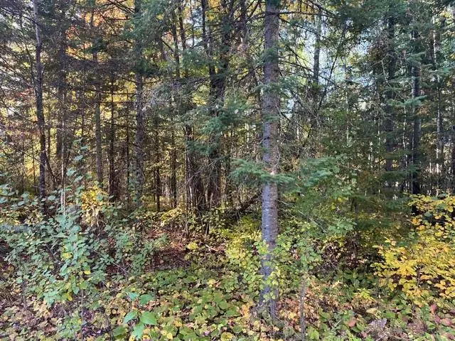 TBD Lost Lake Rd., Tower, MN 55790 - #3