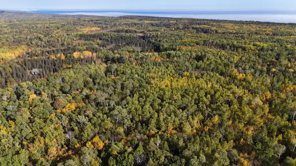 4603 North Road, Hovland, MN 55604