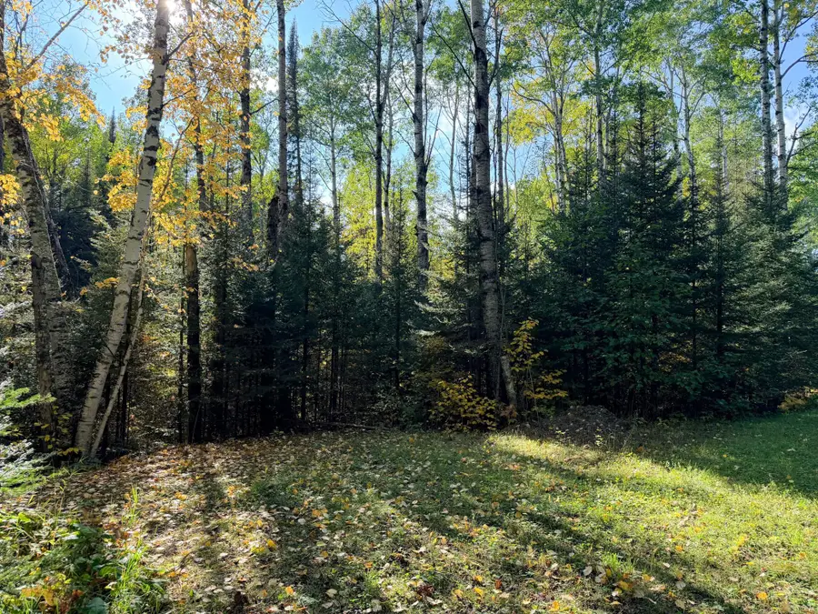 4603 North Road, East Cook, MN 55604 - #3