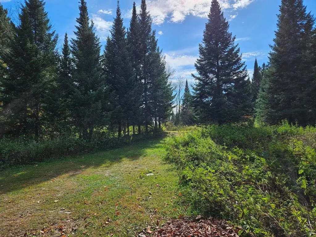 Lt 3 Blk 1 County Rd 238, Deer River, MN 56636 - #1