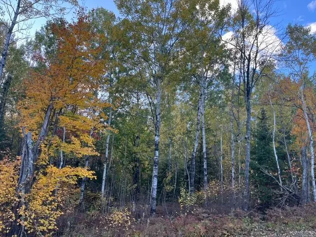 TBD S Loon Lake Rd., Aurora, MN 55705 - #1