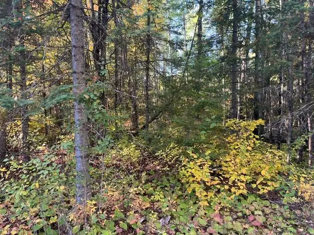 TBD S Loon Lake Rd., Aurora, MN 55705 - #3
