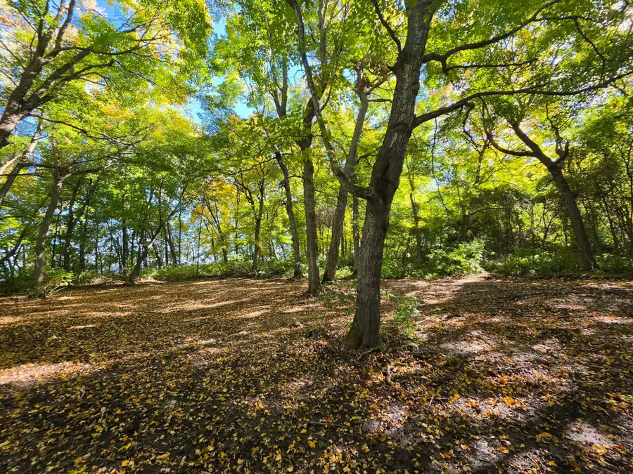 TBD Ottertail Point Dr Nw, Cass Lake, MN 56633 - #3