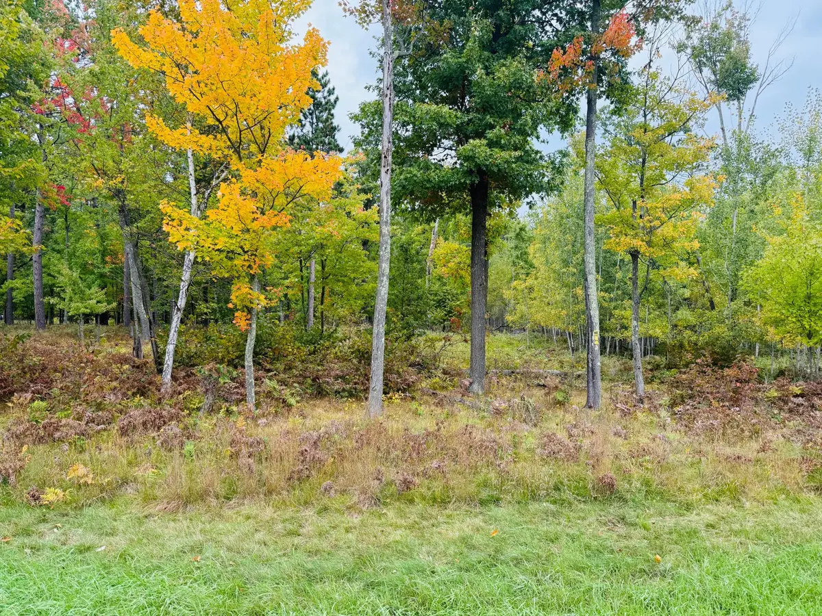 L1 B4 Drahos Road, Brainerd, MN 56401 - #1