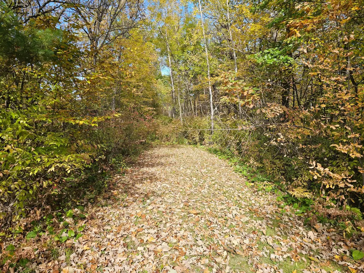TBD Lot 1 Bunny Lane, Crosby, MN 56441 - #1