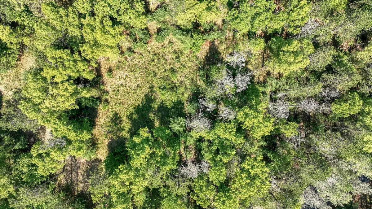 TBD N Creek Road, Arcadia, WI 54612 - #1