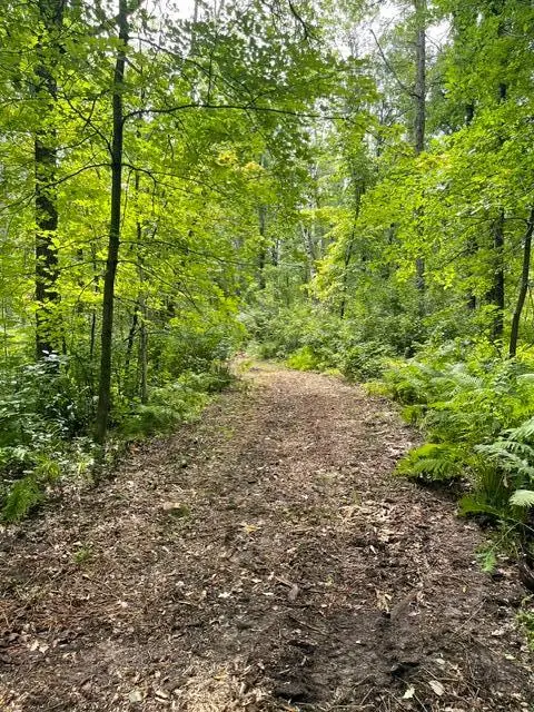 TBD Lacy Lane Sw, Pequot Lakes, MN 56472 - #1