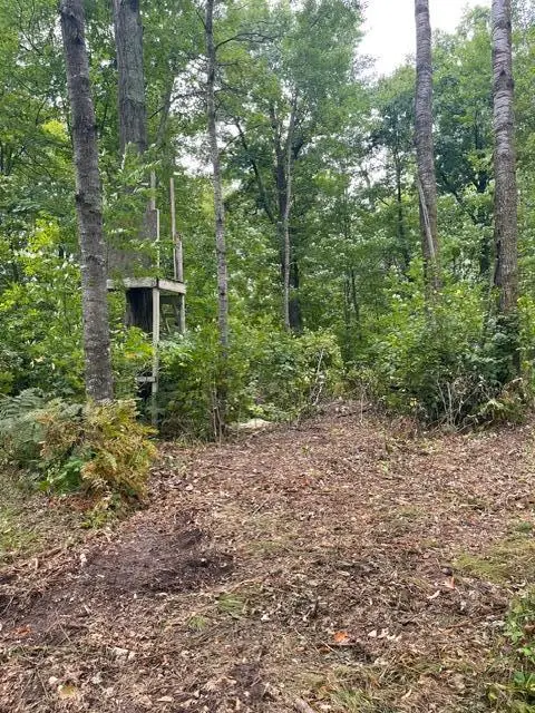 TBD Lacy Lane Sw, Pequot Lakes, MN 56472 - #2