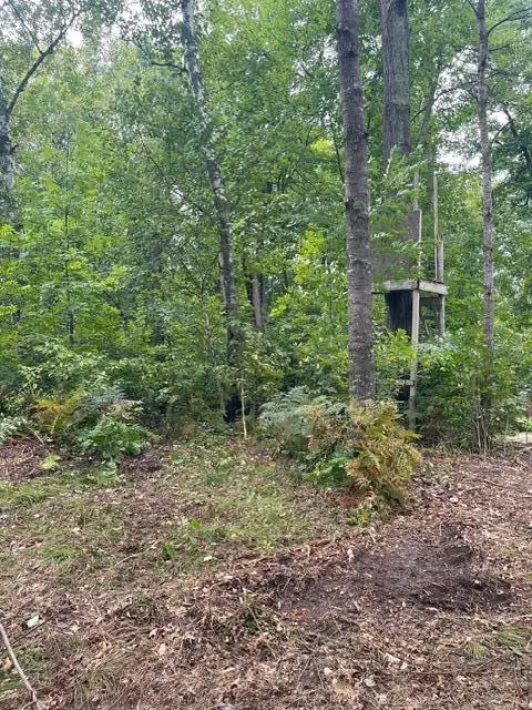 TBD Lacy Lane Sw, Pequot Lakes, MN 56472 - #3