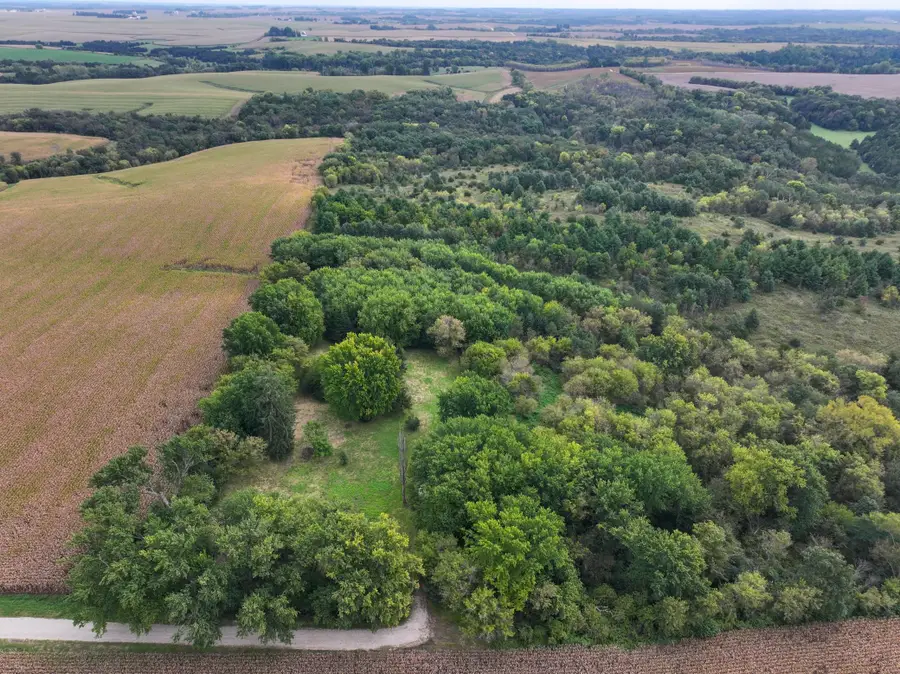 31258 E 325th Avenue, Pilot Mound, MN 55971 - #3