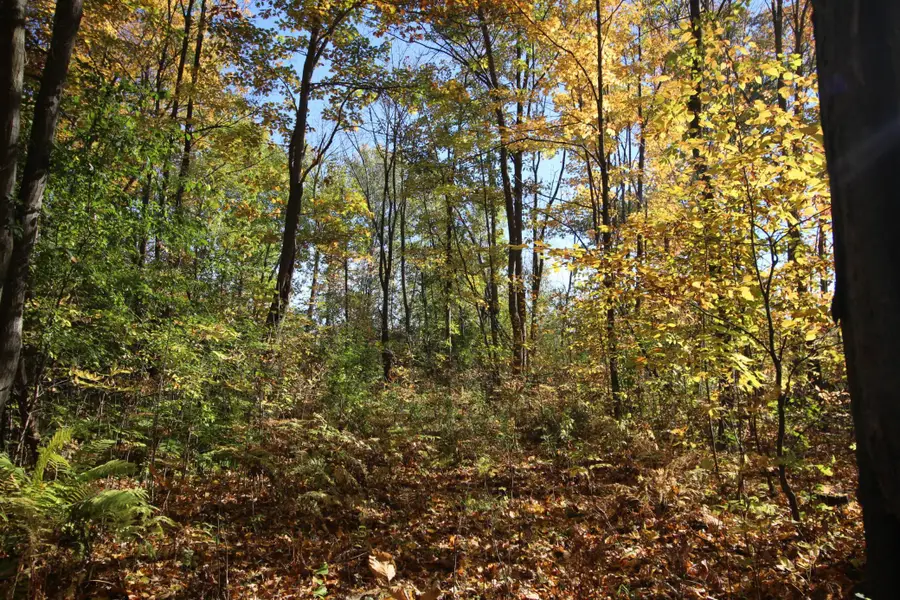 TBD 177th Street, Ogilvie, MN 56358 - #2