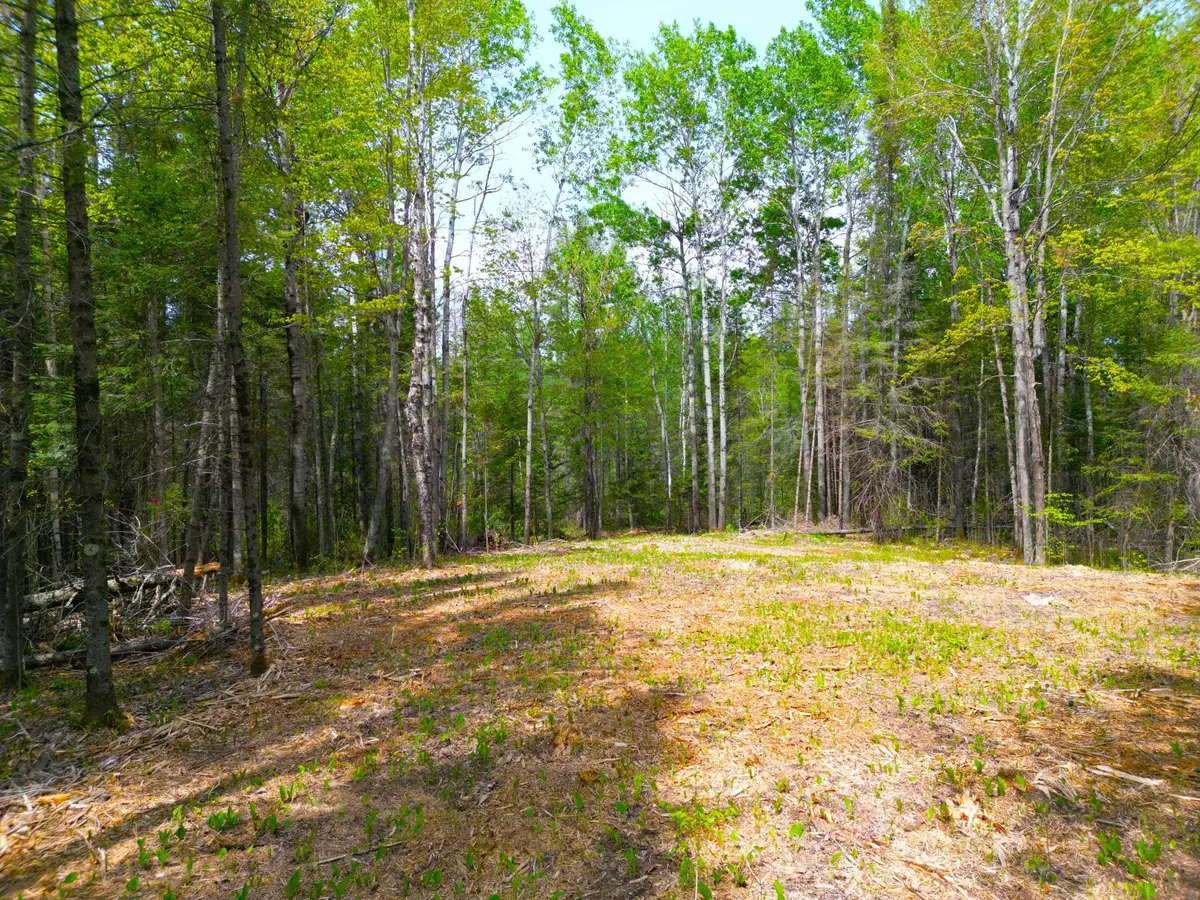 72XX E Central Lakes Road Lot G, Eveleth, MN 55734 - #1