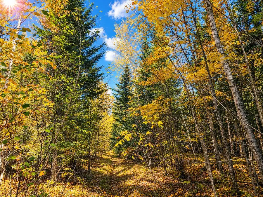 TBD Hinkkanen Road, Floodwood, MN 55736 - #2