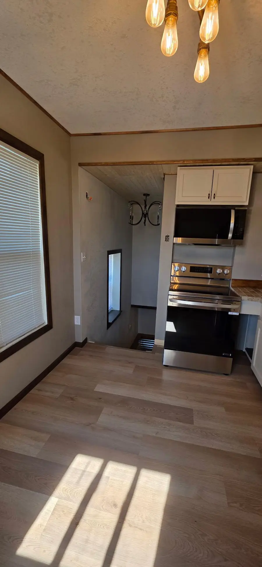 209 Main St, Adams, MN 55909 - #3