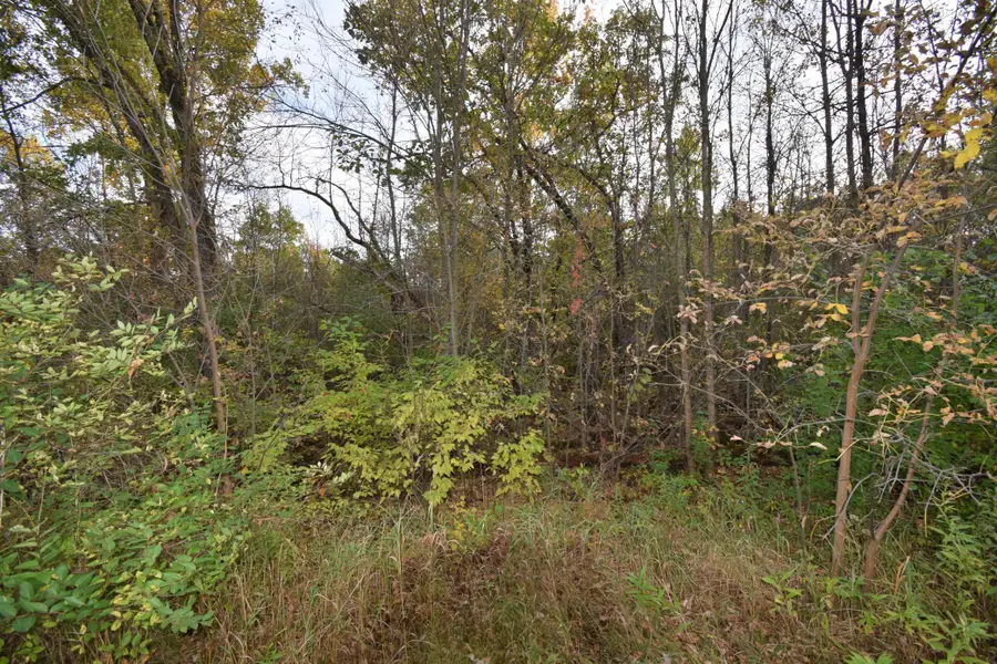 Lots 1-8 N Center Street, Danbury, WI 54830 - #3