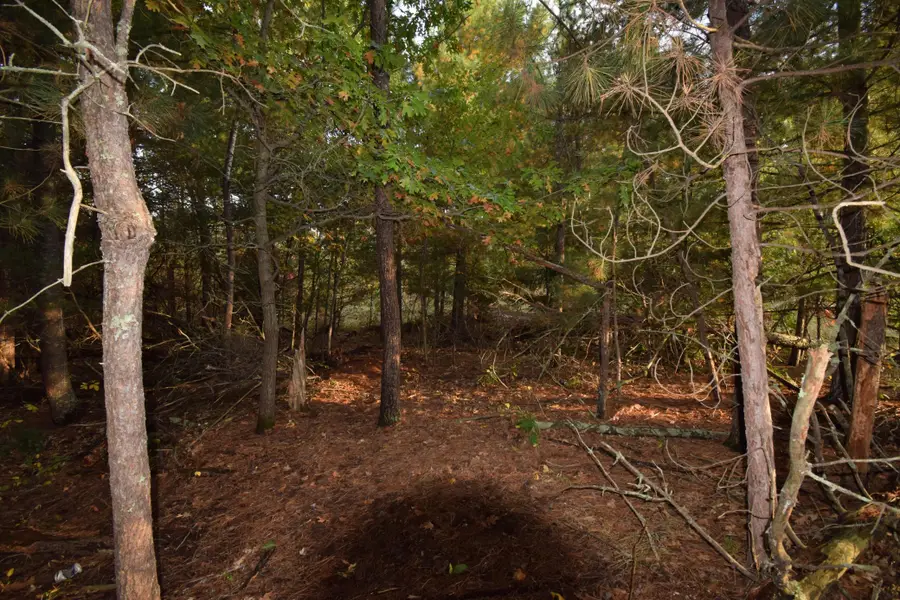 Lots 5-7 S First Avenue, Danbury, WI 54830 - #2