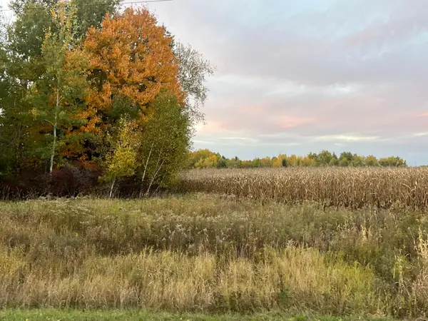000 Holly Rd, Pine City, MN 55063