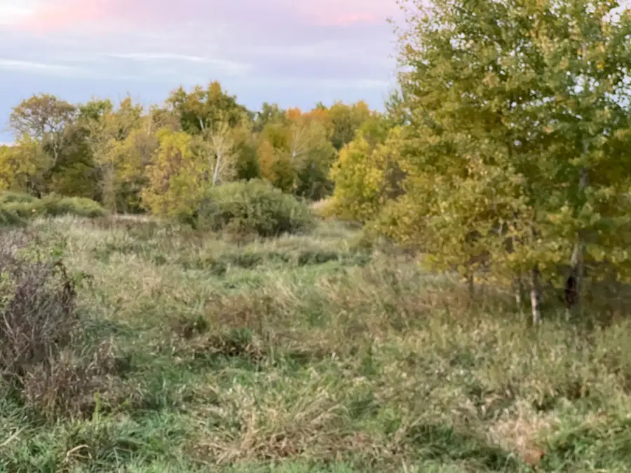 000 Holly Rd, Pine City, MN 55063 - #3