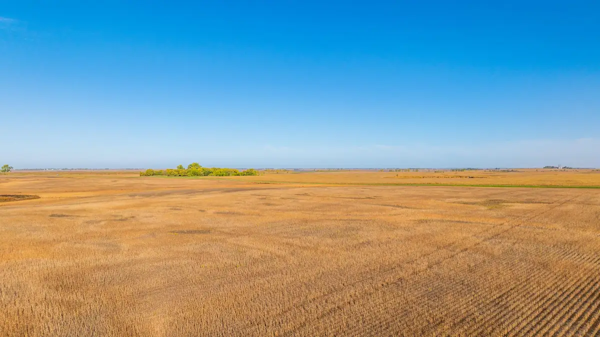 TBD 46 St Se Lot 1, Alice, ND 58031 - #1