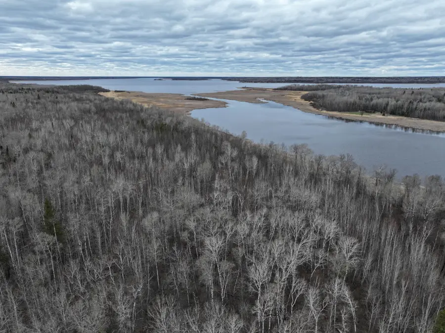 060 Youngs Bay Drive, Angle Inlet, MN 56711 - #3