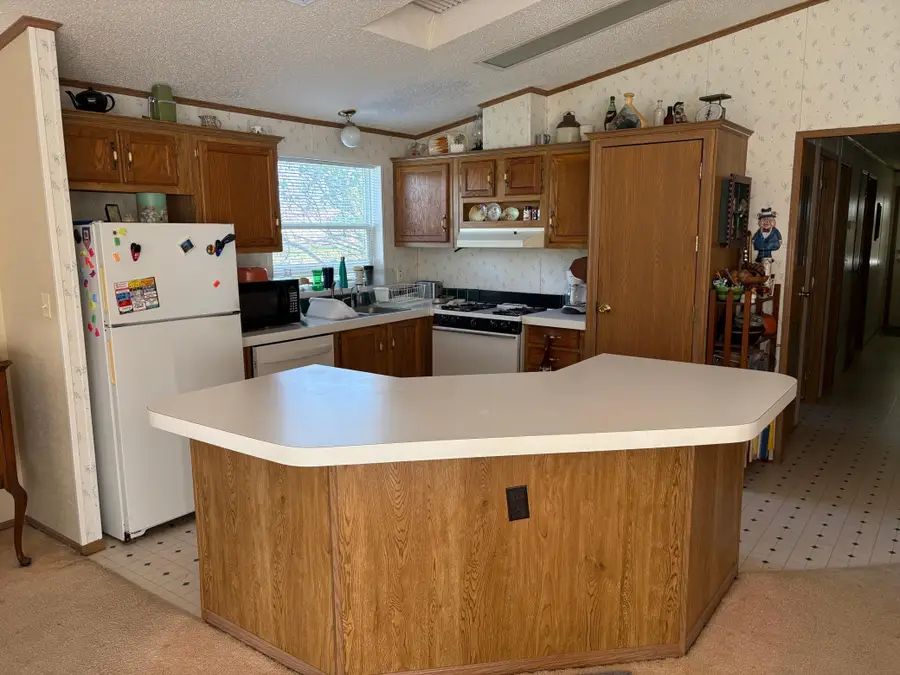 204 E Hibbard Avenue, Belview, MN 56214 - #3
