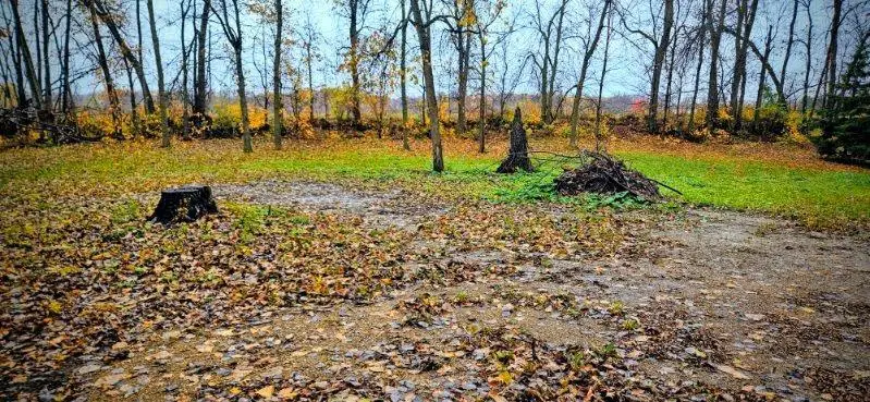 4760 Country Shores, Alexandria, MN 56308 - #2