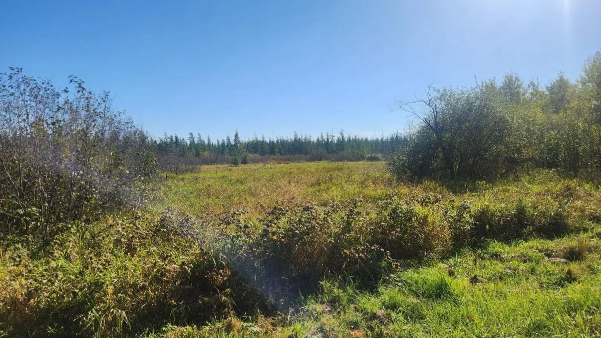 TBD County Road 55 Road Ne, Remer, MN 56672 - #1