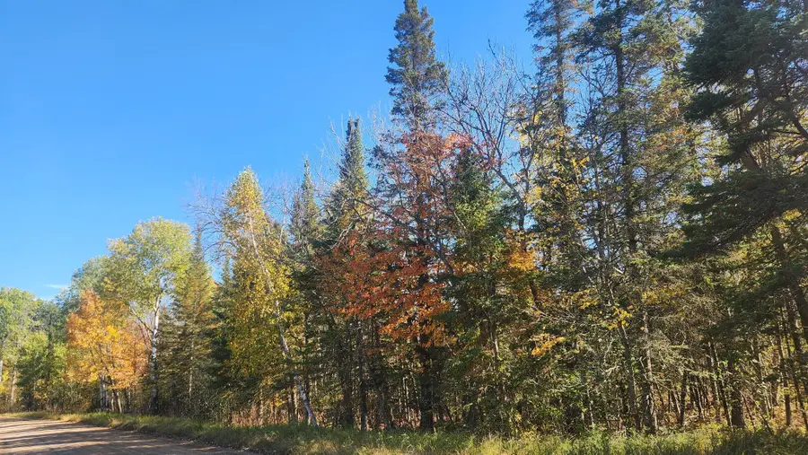 TBD County Road 55 Road Ne, Remer, MN 56672 - #3