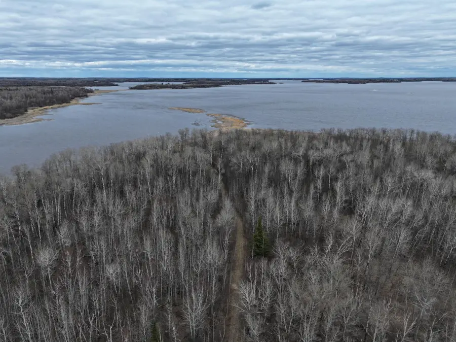 2521 Youngs Bay Drive Nw, Angle Inlet, MN 56711 - #2
