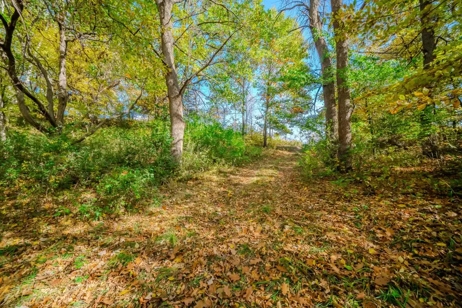 TBD County Road 102, Grey Eagle, MN 56336 - #3