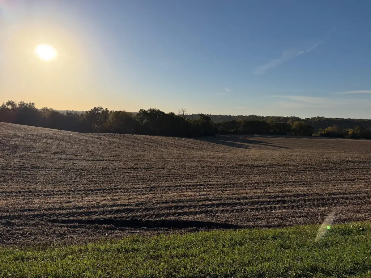 TBD 225th Street, New Ulm, MN 56073 - #1