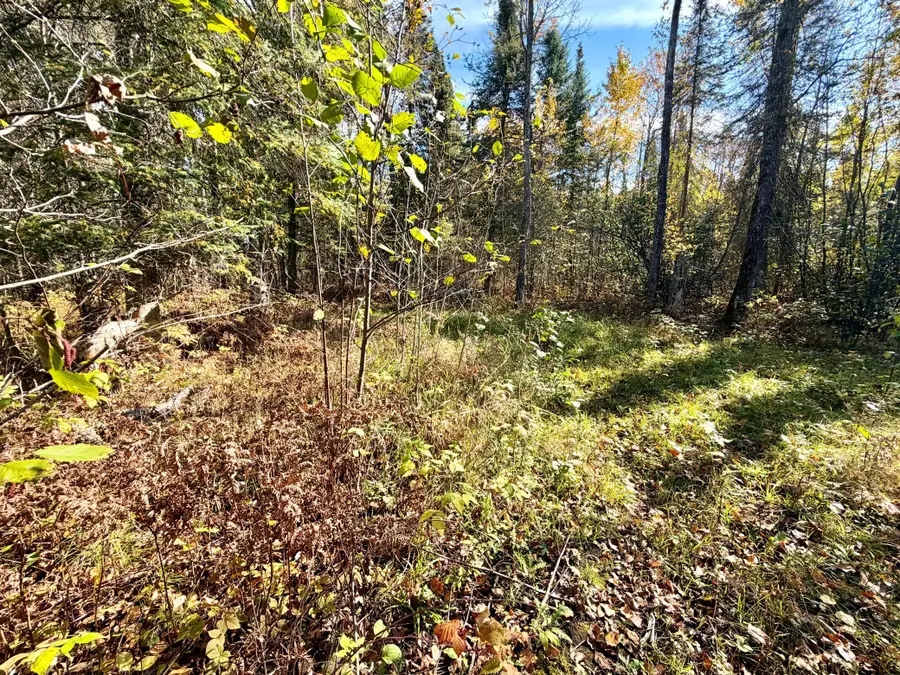 TBD County Road 303, Deer River, MN 56636 - #3