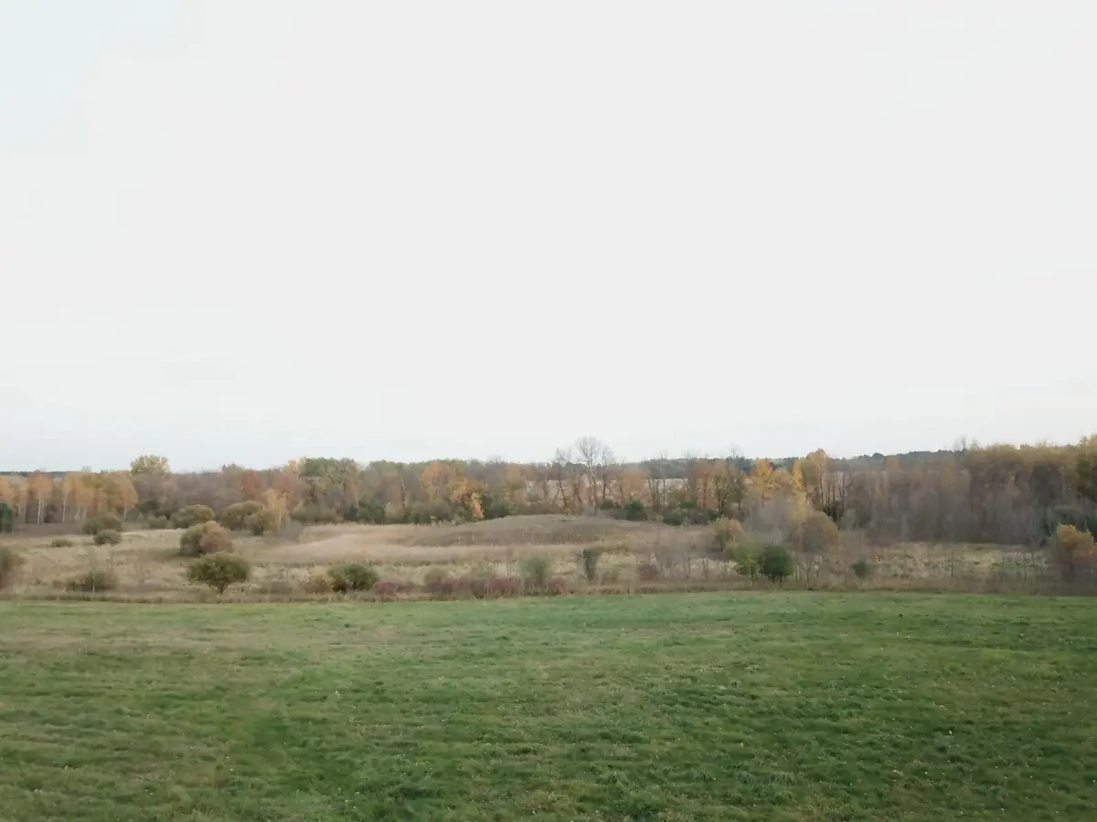 5540 381st Ave Nw, Dalbo, MN 55017 - #1