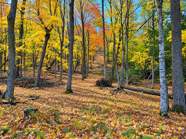 Lot 3 County Rd 39 Ne, Longville, MN 56655