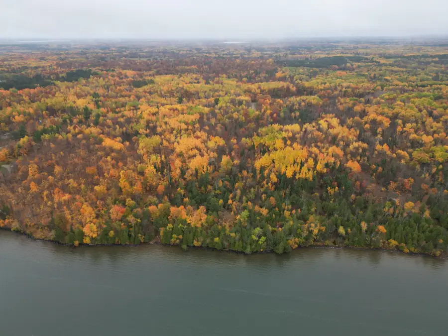 Lot 4 County Rd 39 Ne, Longville, MN 56655 - #3