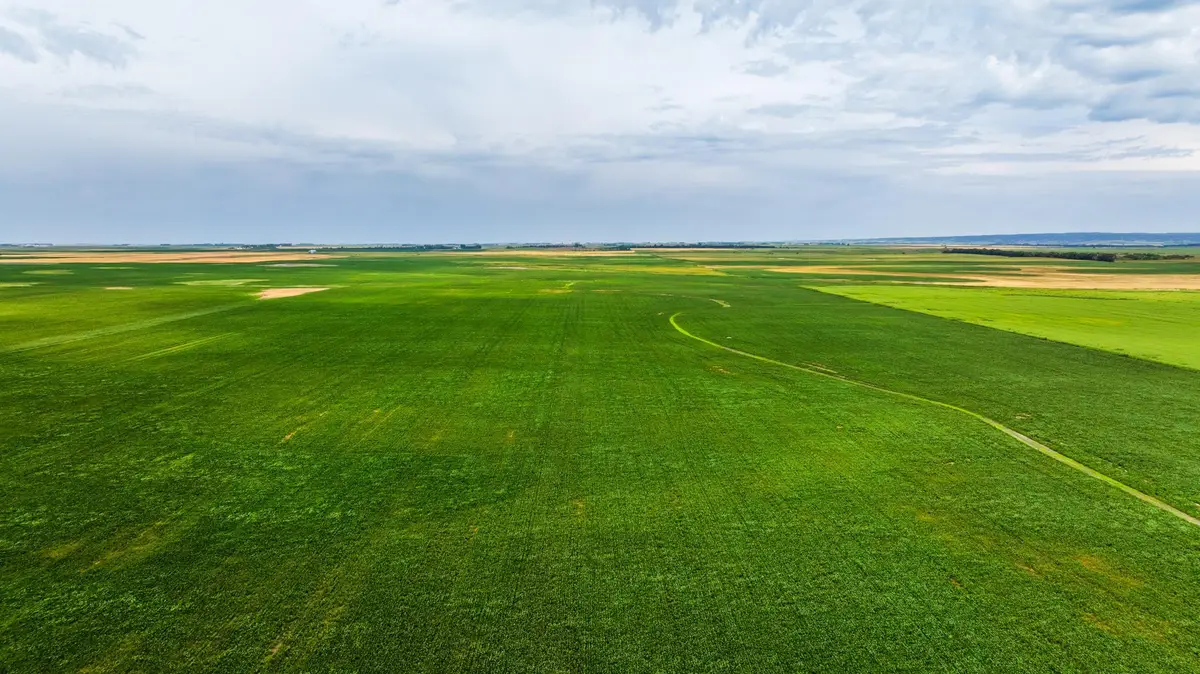 TBD 97 St Ne Lot 3, Bottineau, ND 58318 - #1