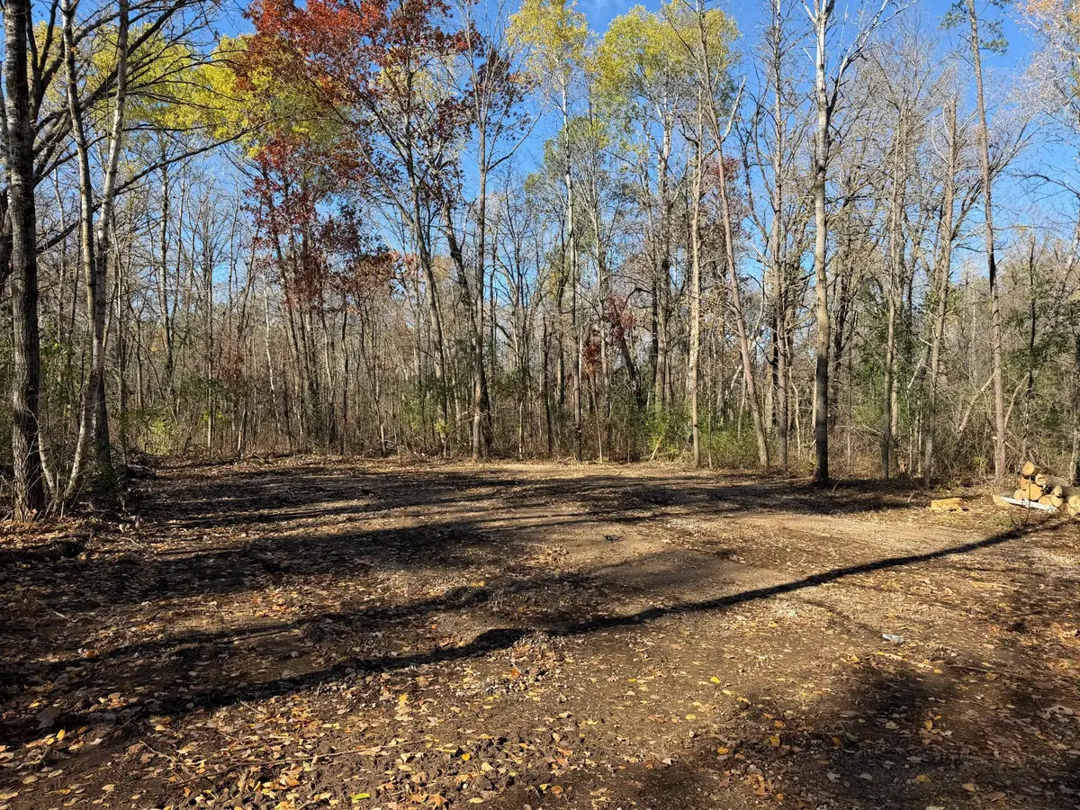 TBD Armour Pass Sw, Pillager, MN 56473 - #1