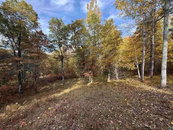 51190 Loon Echo Lane, Barnes, WI 54873