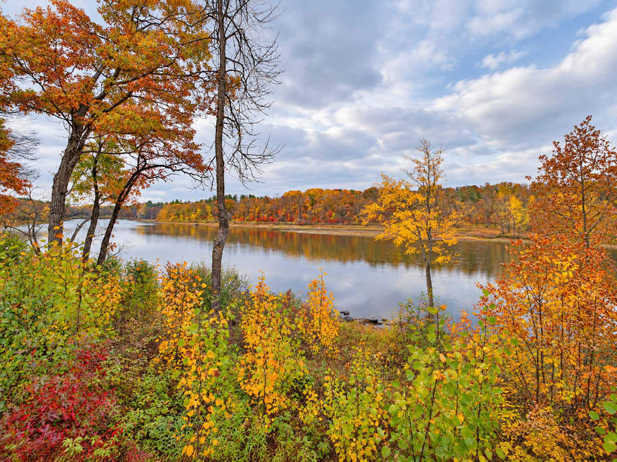 12222 Camwood Trail, Baxter, MN 56425 - #2