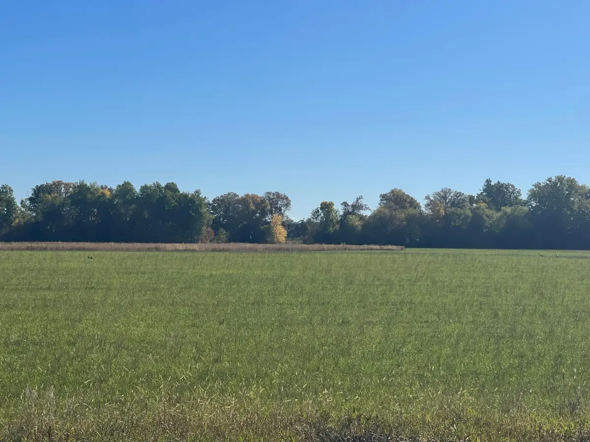 TBD XXX 85th Avenue, Lot 4, Princeton, MN 55371 - #1
