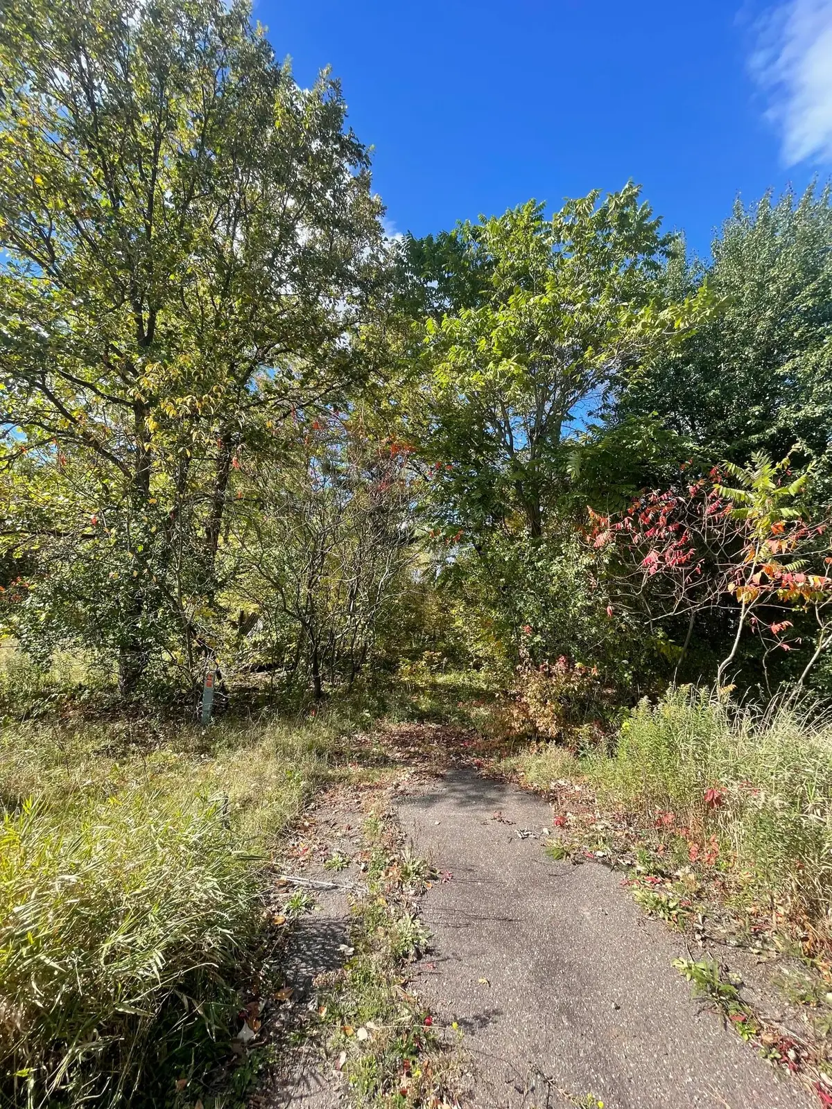 1383 Highway 107, Grasston, MN 55030 - #1