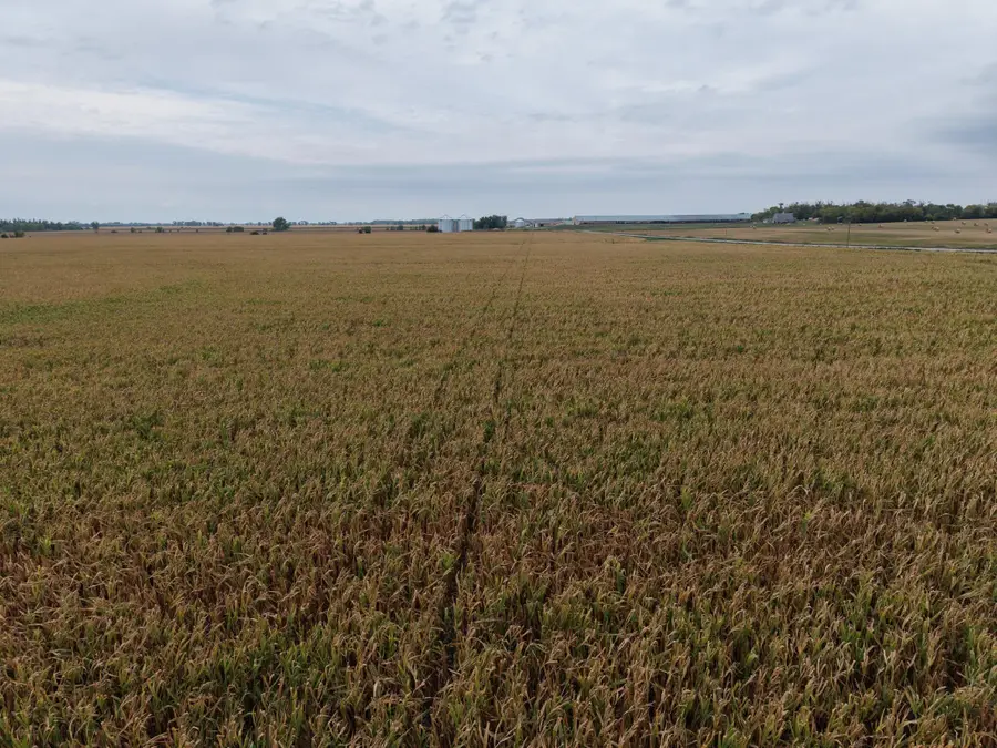 TBD County Rd 39, Borup, MN 56519 - #2