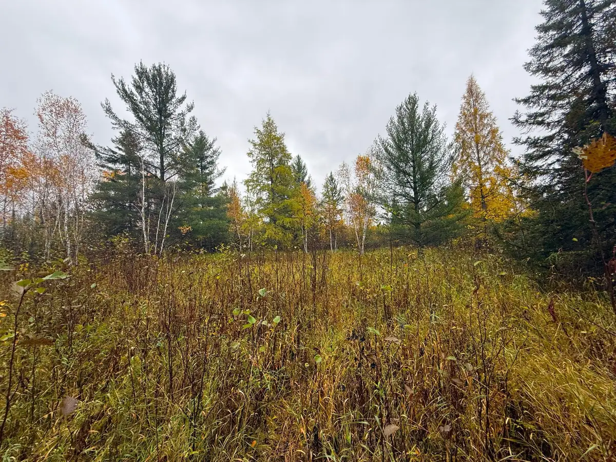 75XX Metske Road, Eveleth, MN 55734 - #1