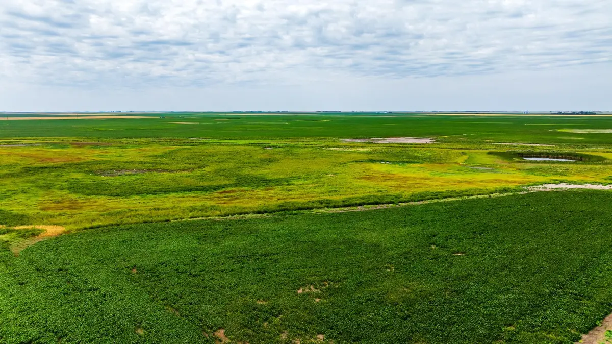 TBD 98 St Ne Lot 3, Bottineau, ND 58318 - #1
