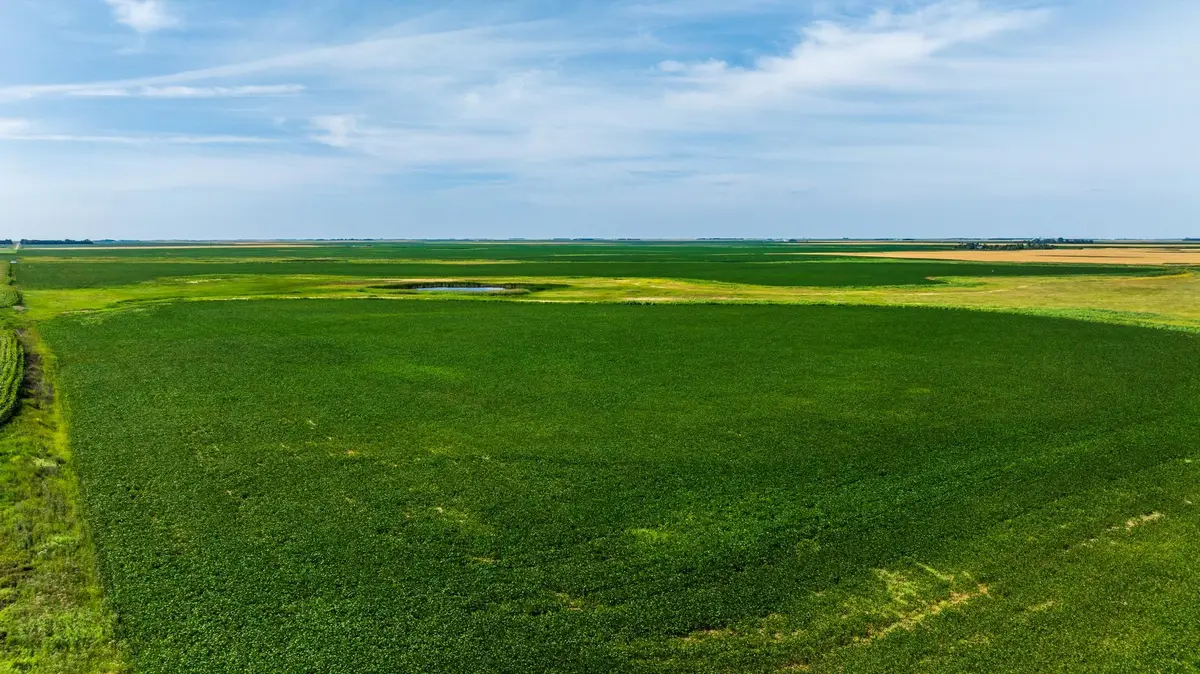 TBD 98 St Ne Lot 1, Bottineau, ND 58318 - #1