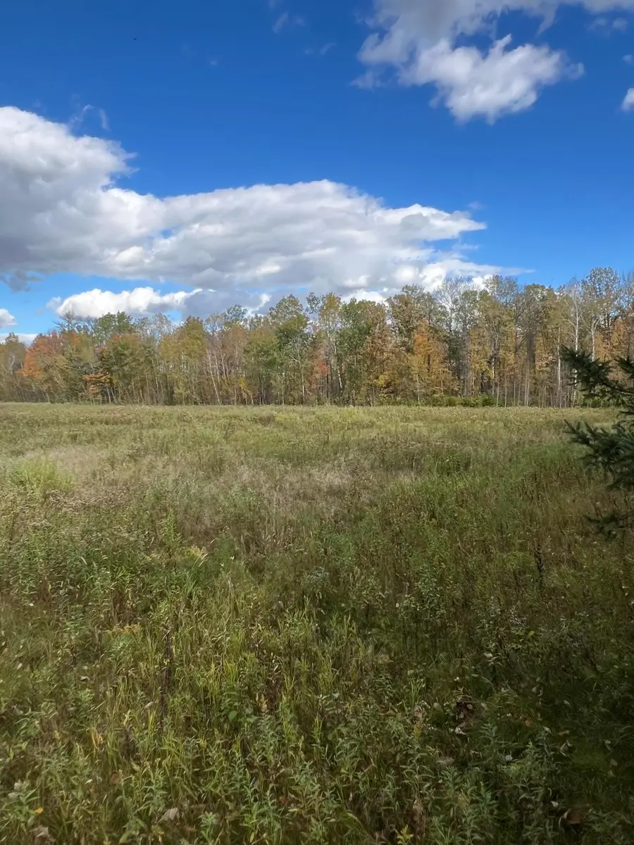 TBD County Rd 1, Emily, MN 56447 - #3