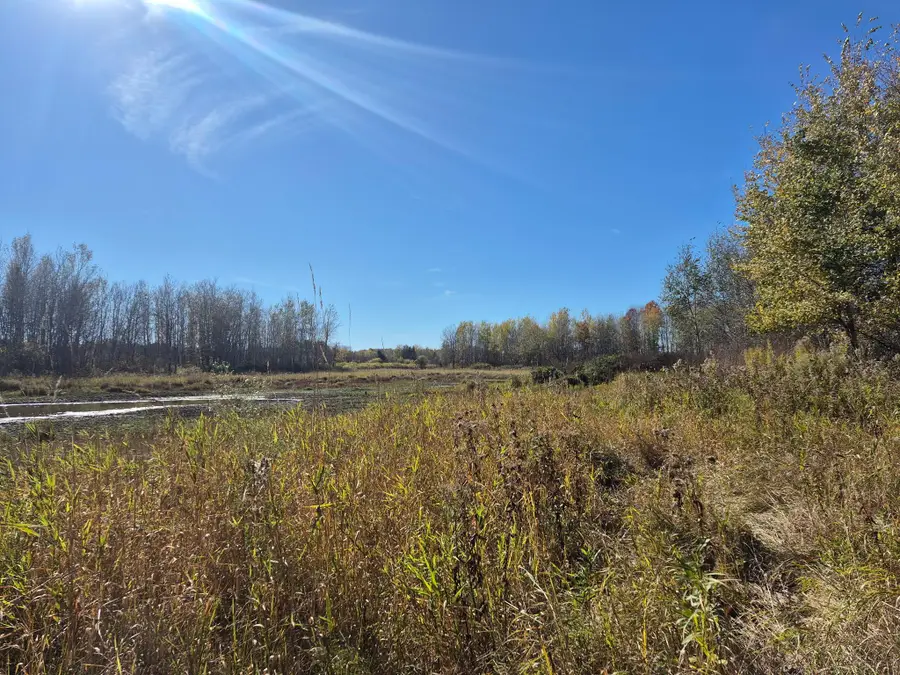 TBD Henry Road, Finlayson, MN 55735 - #3