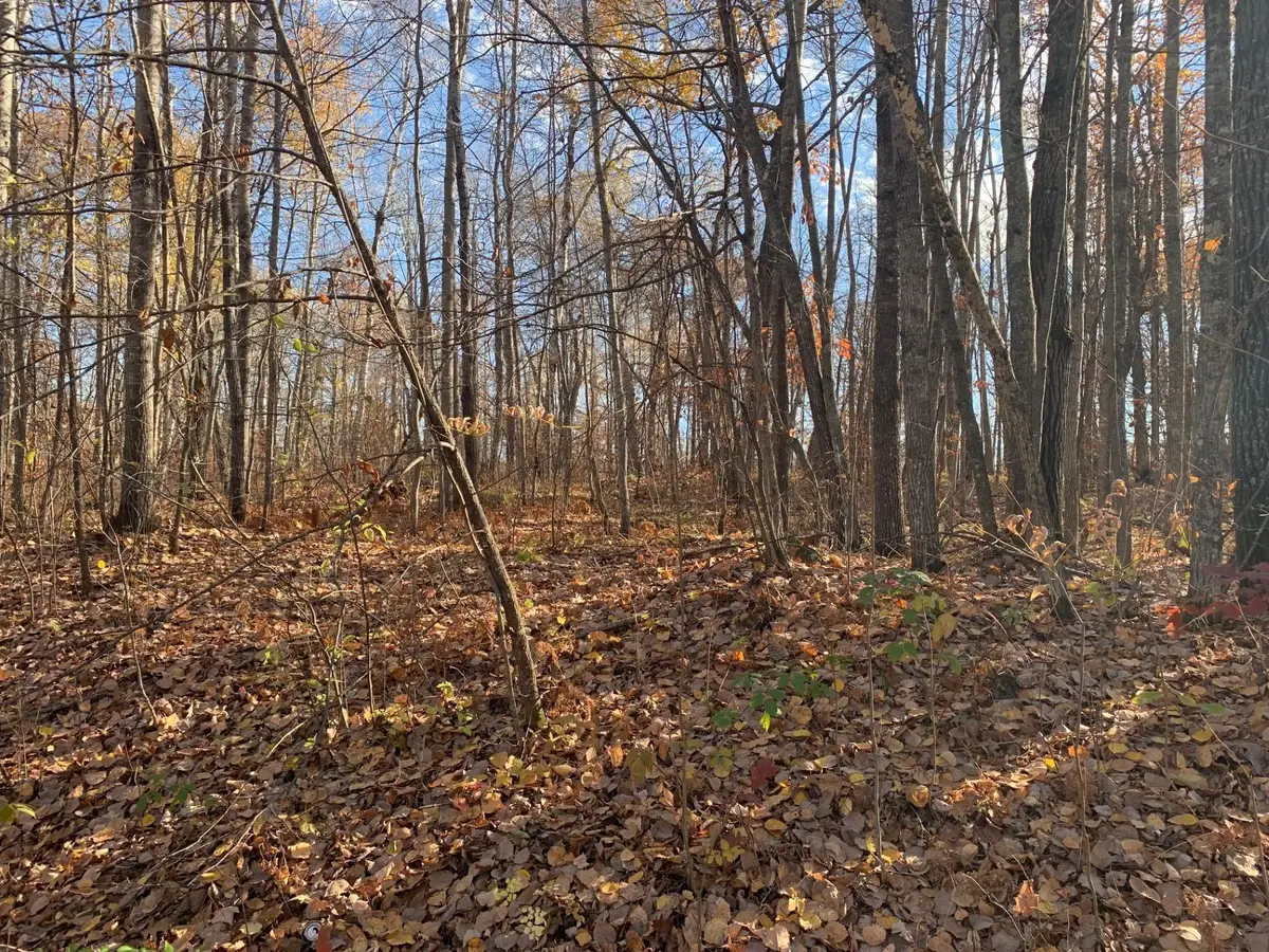 Lot 7 County Road 136, Fifty Lakes, MN 56448 - #1