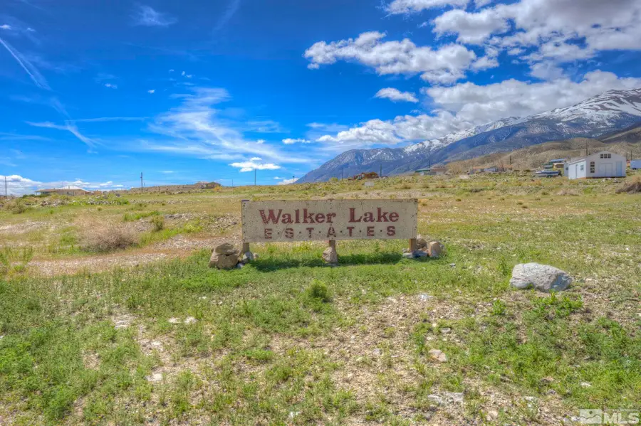 776 Gladys Drive, Walker Lake, NV 89415 - #2