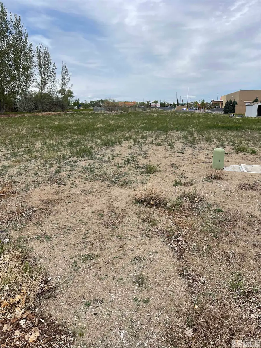 2320 Smart Lane, Fallon, NV 89406 - #2